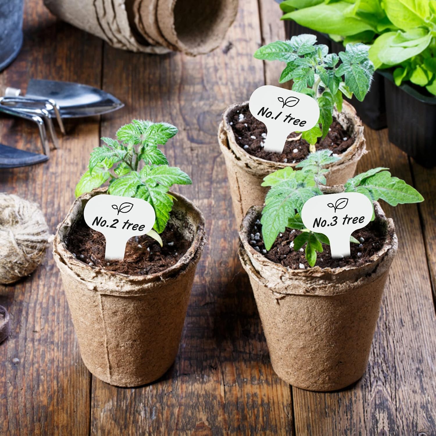 Etiquettes pour plantes (100 pièces), 5 x 7 cm, réutilisables pour semis et plantations dans les potagers, blanches. - 5