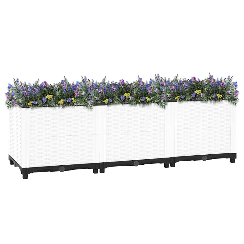 Rectangulaire