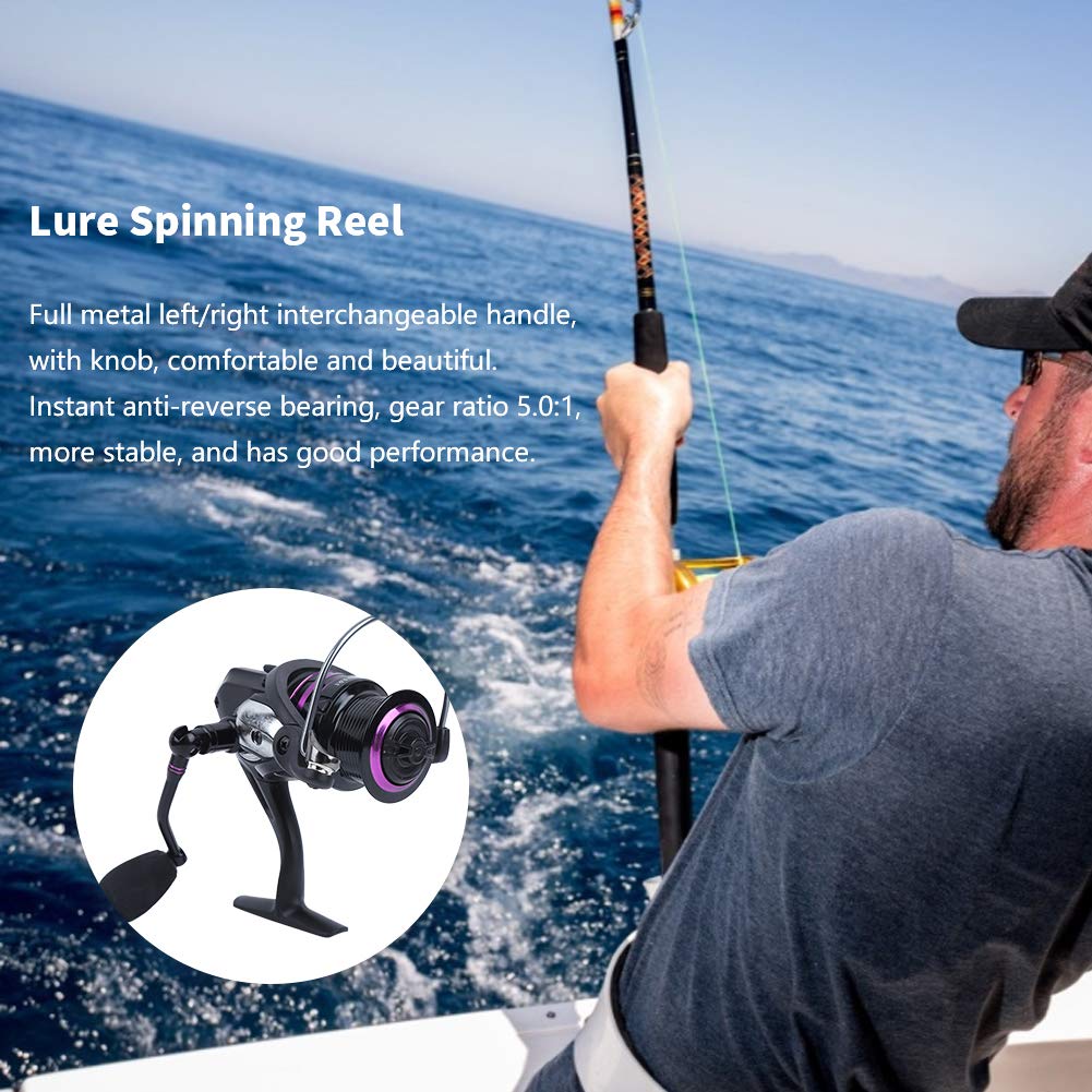 Accessorio per ruota da pesca con canna da mare, mulinello con esca di alta qualità (BT3000) - 9