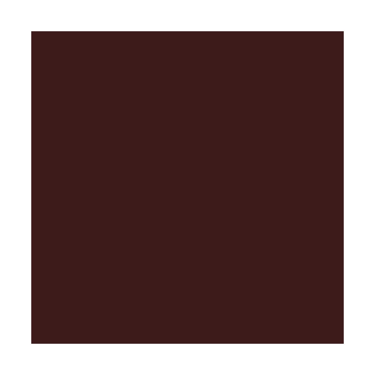 Peinture Bitume, Goudron, Enrobé - ARCASPHALT - 15 kg (jusqu'à 30 m² en 2 couches) Chocolat Marron Foncé - ARCANE INDUSTRIES - 3