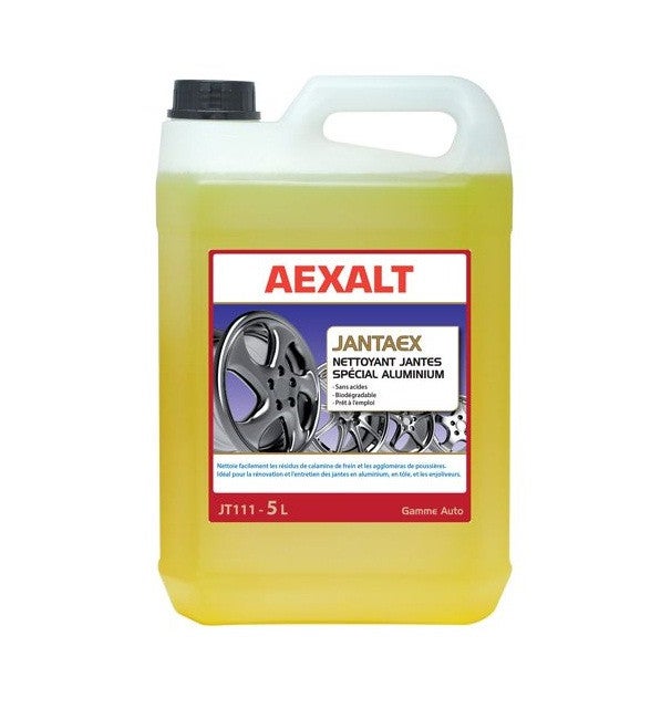 Nettoyant Vitres Concentré CleanPrince 5L – 1:100, Anti-gel Voiture