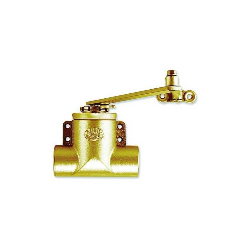 Tapis D'intérieur Et D'extérieur Traditionnel ECARPET Veranda, Doré