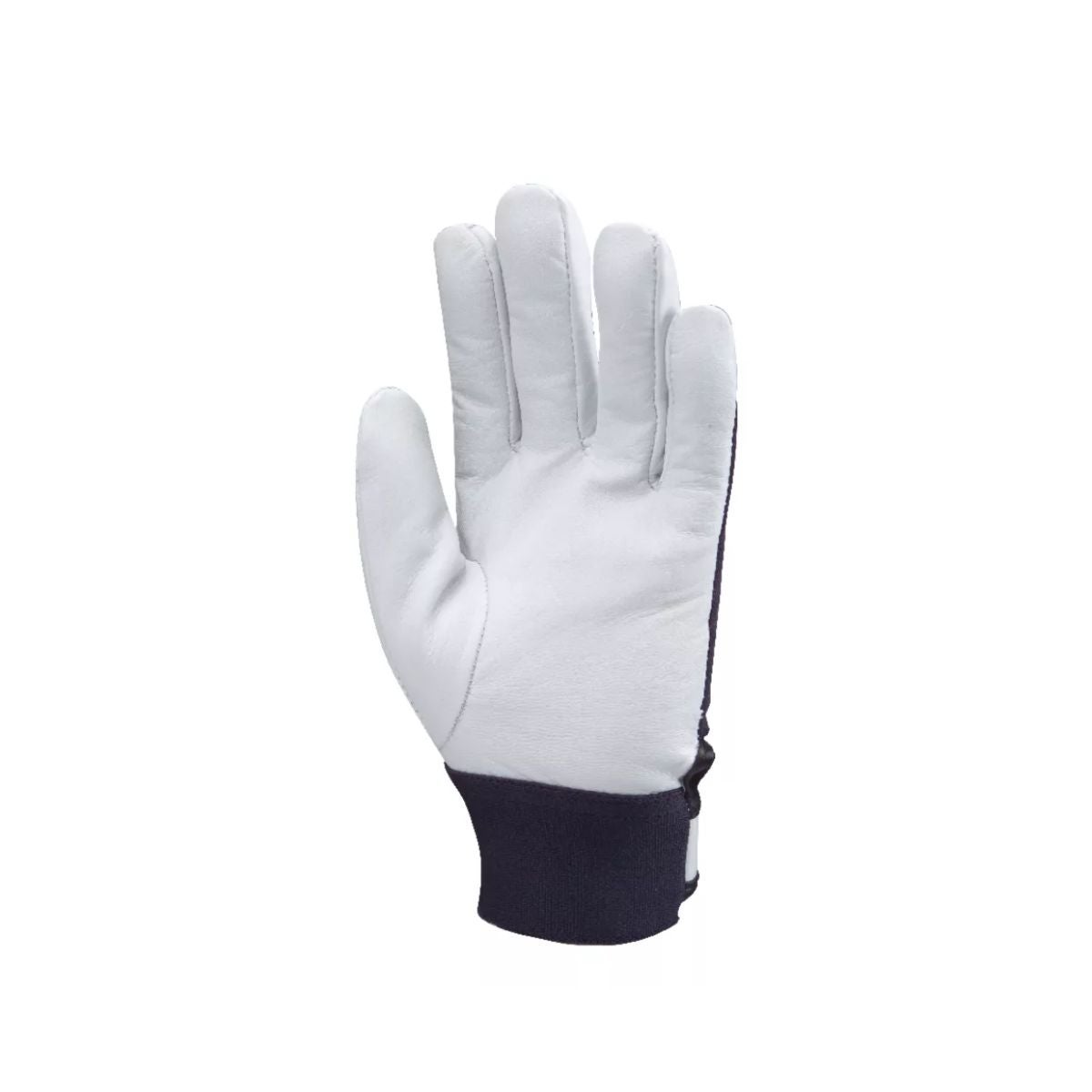 Gants maîtrise fleur chèvre, jersey bleu, manch.agrip.T09 - Coverguard - Taille L-9 - 2