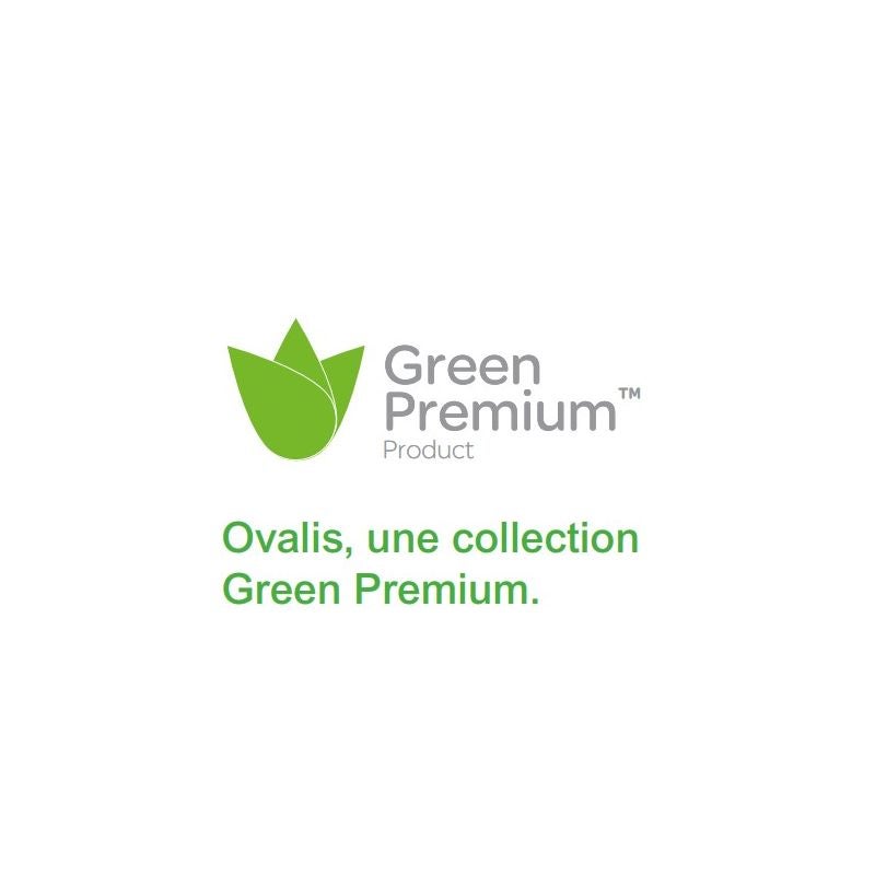 Bouton poussoir à fermeture - Ovalis - Schneider Electric - 10 A - 4
