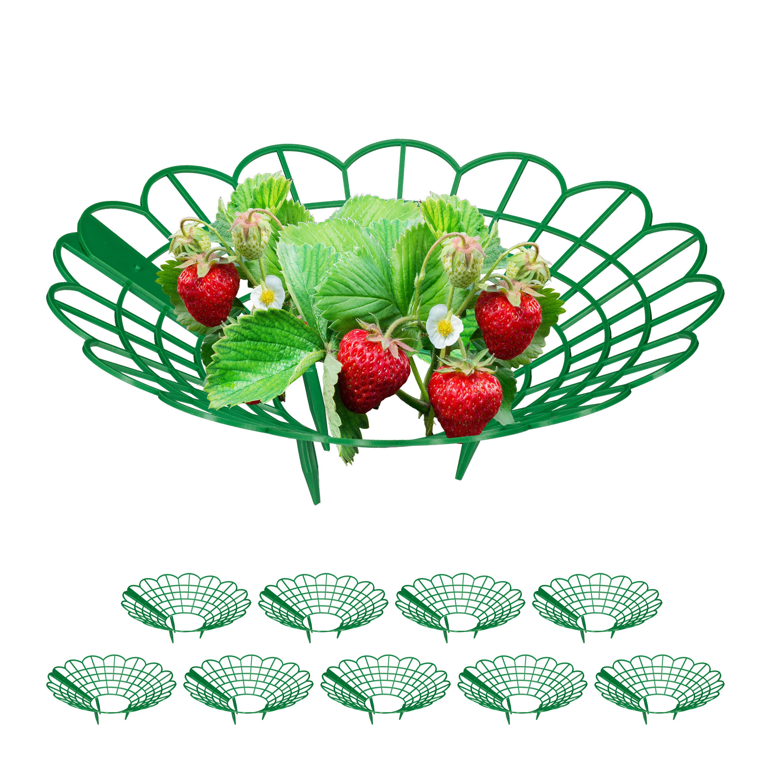 Supporto Rialzato Per Fragole In PP, 16 Pezzi, Protegge Da Muffa E Umidit&agrave;, Migliora Circolazione E Luce, Adatto Anche A Pomodori E Fiori