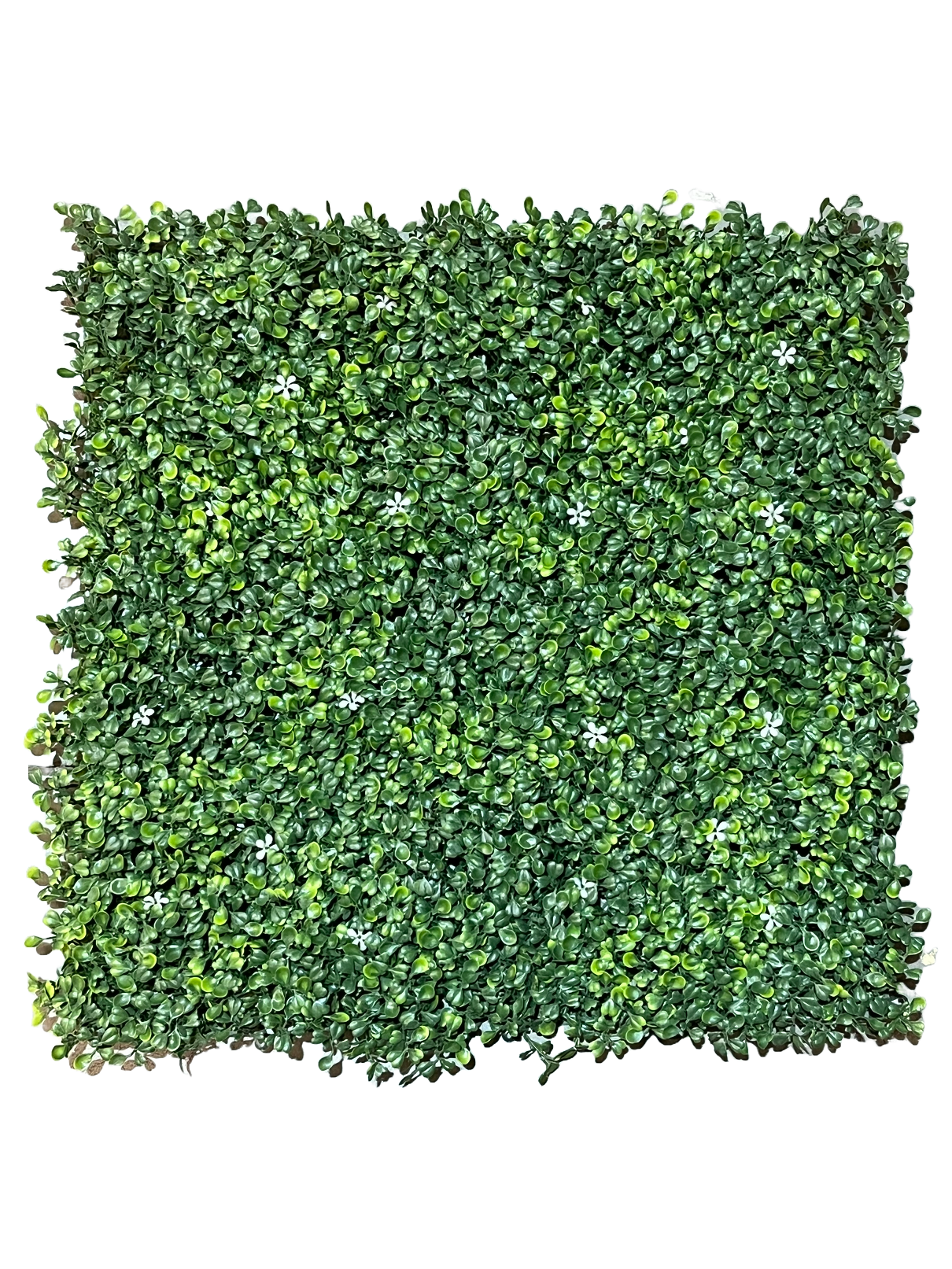 Panel dekoracyjny 50x50 cm 4 szt. Bukszpan