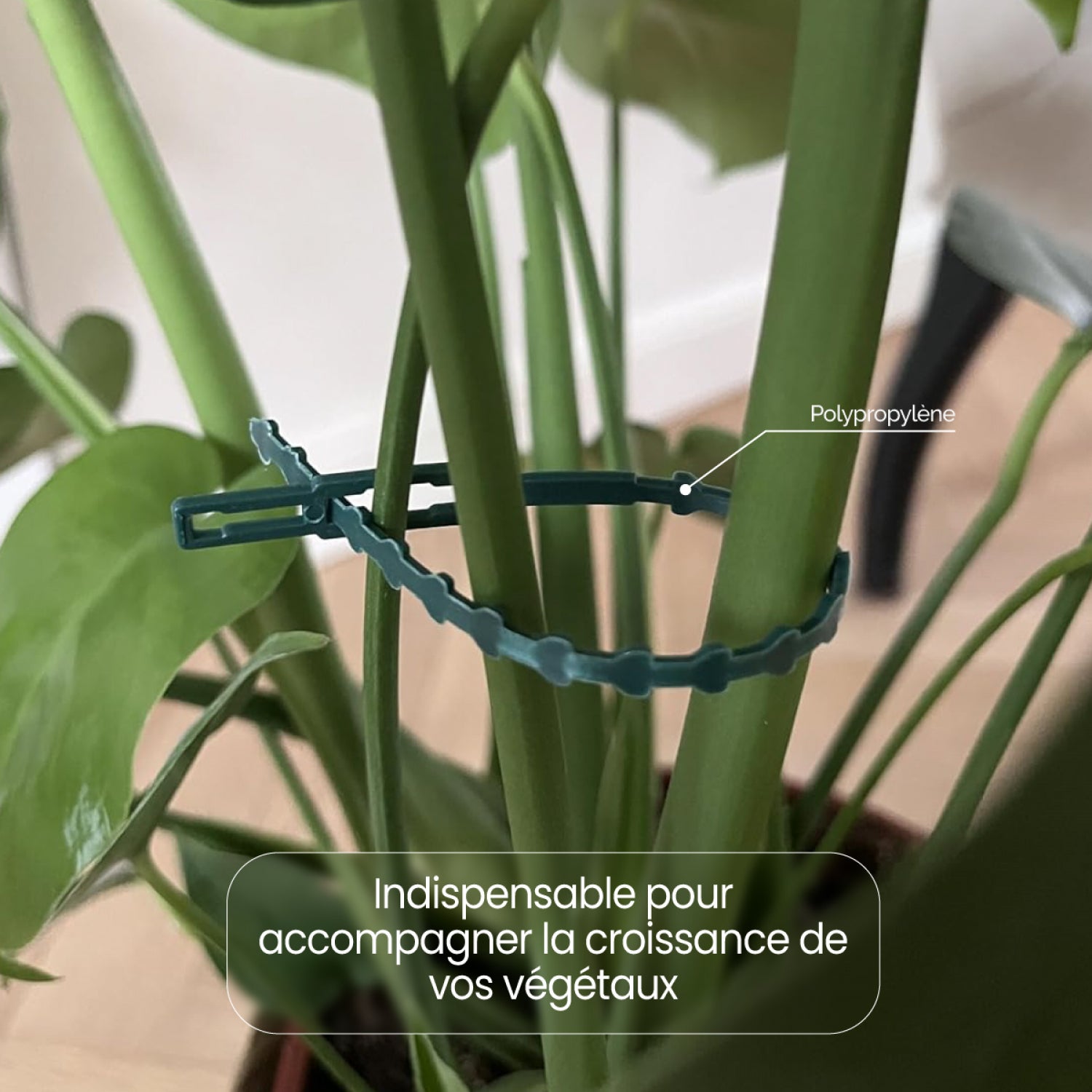 Lot de 400 attaches crantées pour plantes, supports, tuteurs, liens réglables pour arbustes, potagers - 23 cm - Vert - Linxor - 3