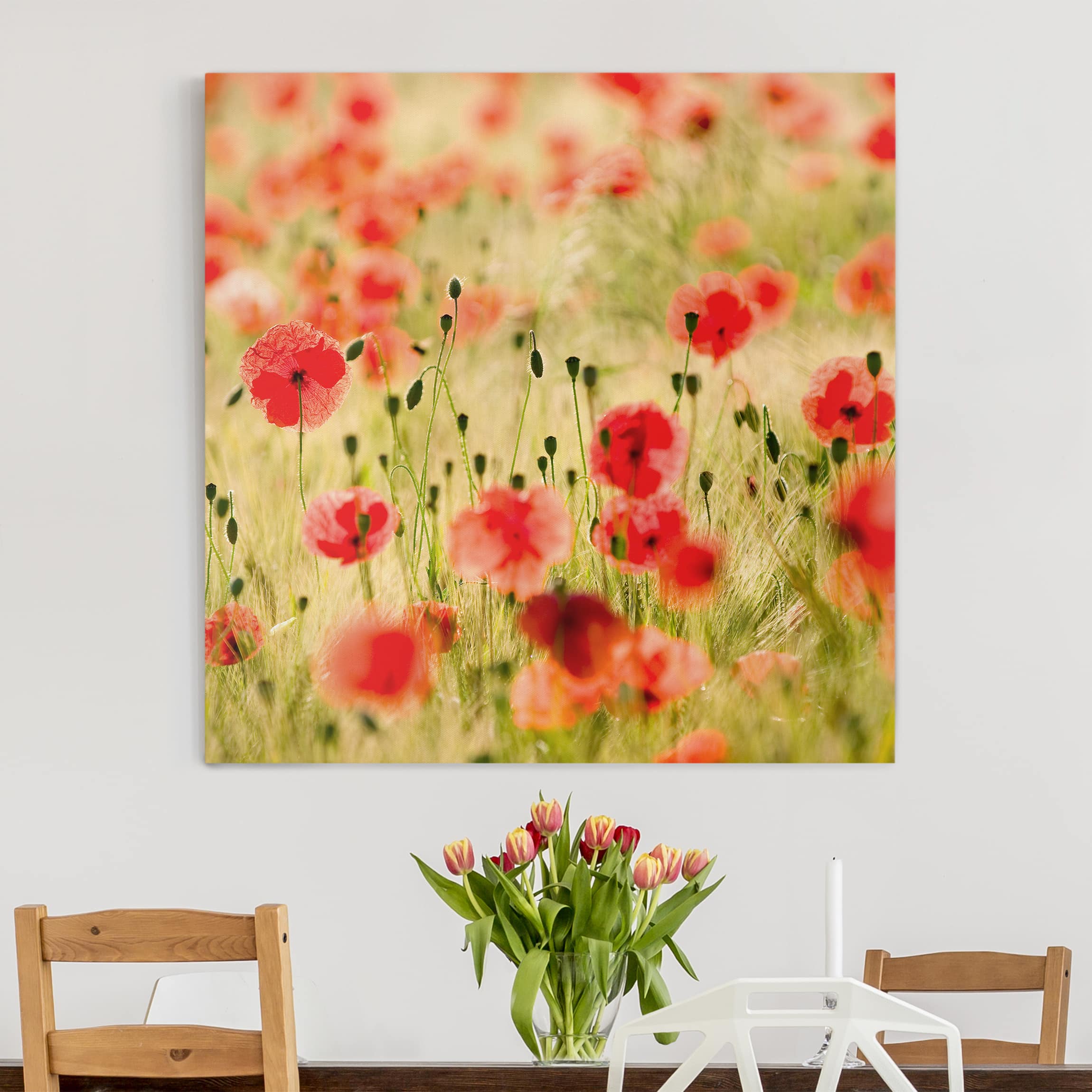 Lienzo cuadro en lienzo bastidor impresion en lienzo verde botánica flor amapola fotografía 126 cocina dormitorio salón pasillo 30 x 30 cm