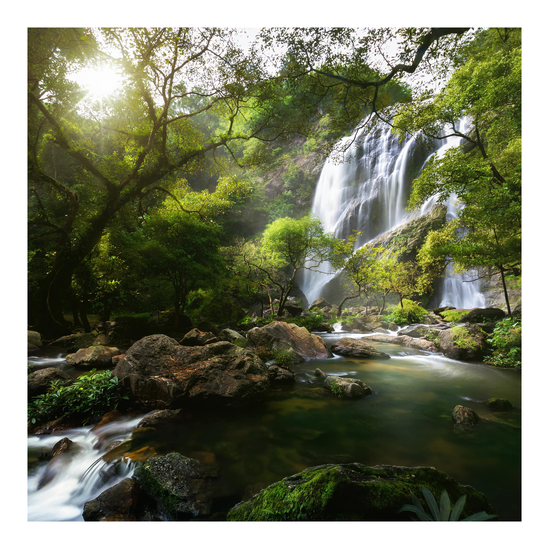 Papel pintado fotomural bosque naturaleza montaña 48 - salón dormitorio cocina pasillo - tnt 336 x 336 cm smart