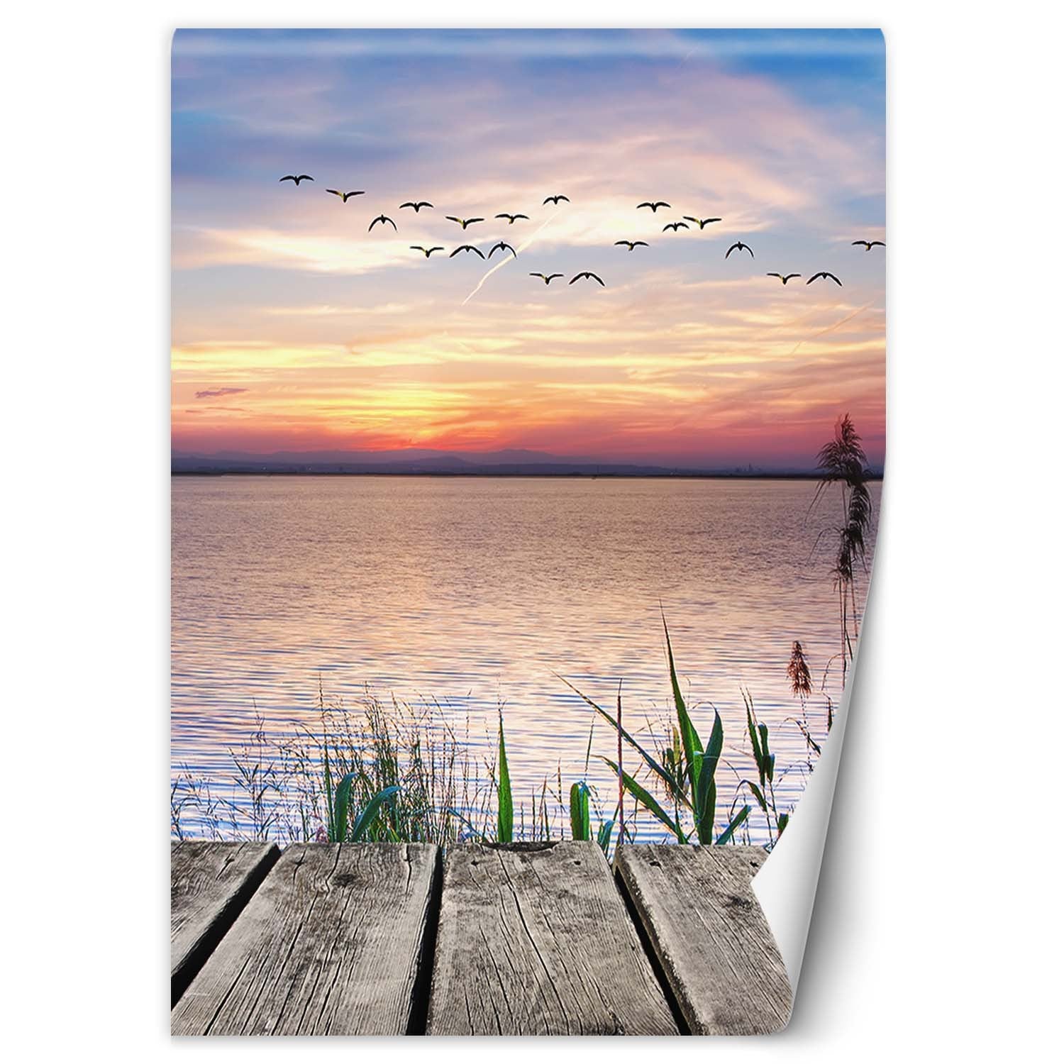 Fototapeta, Ptaki nad morzem 100x140