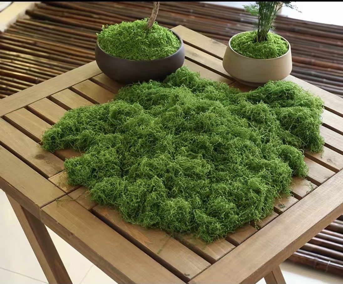 100g de mousse décorative, mousse artisanale murale, mousse de bloc de