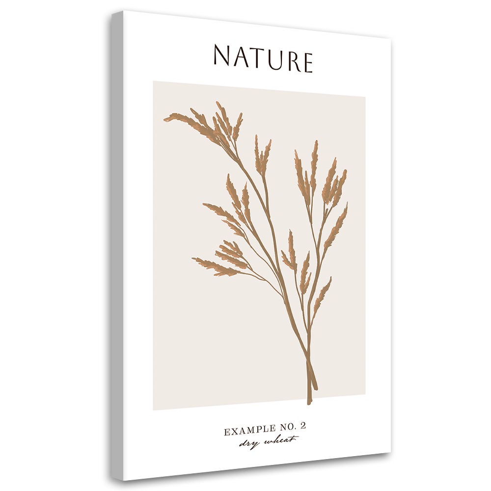 Obraz na płótnie, Suszona pszenica - Natura 60x90