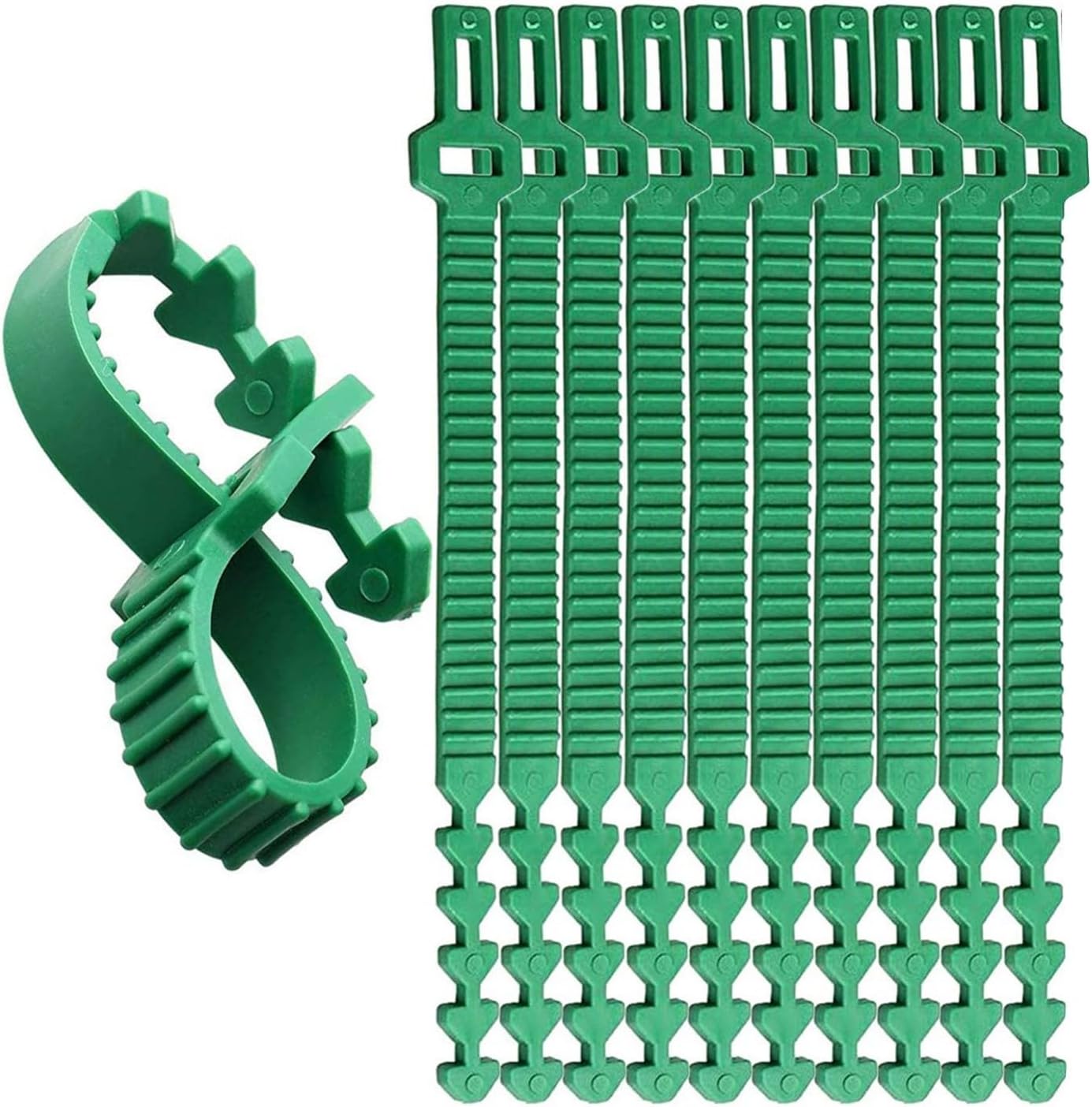 Lot De 10 Attaches En Caoutchouc Pour Arbres - Longueur 24 Cm, Réglables, Résistantes Aux UV | Support Pour Plantes, Tuteurage