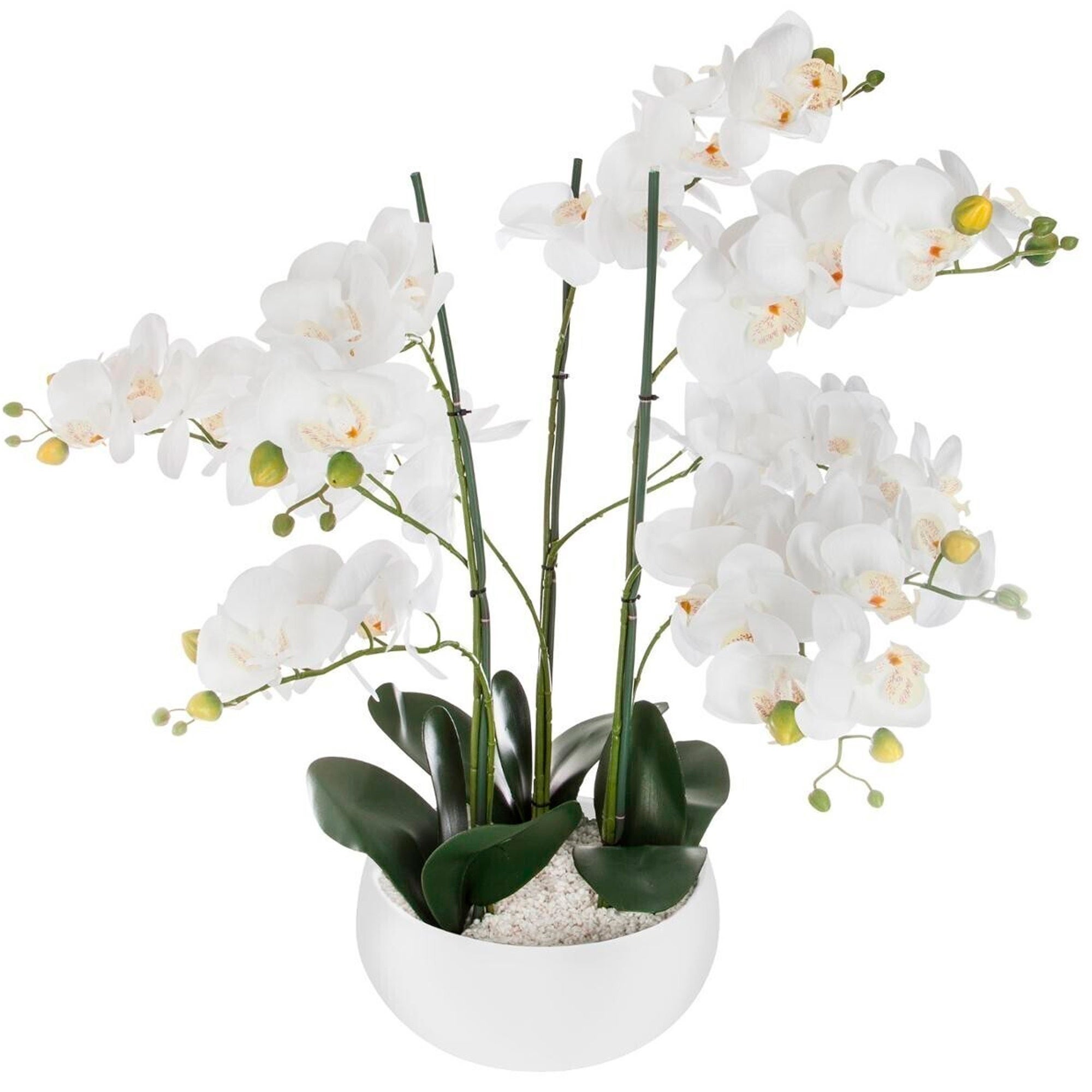 Fiori Artificiali Foglia Orchidea | Confronta Prezzi