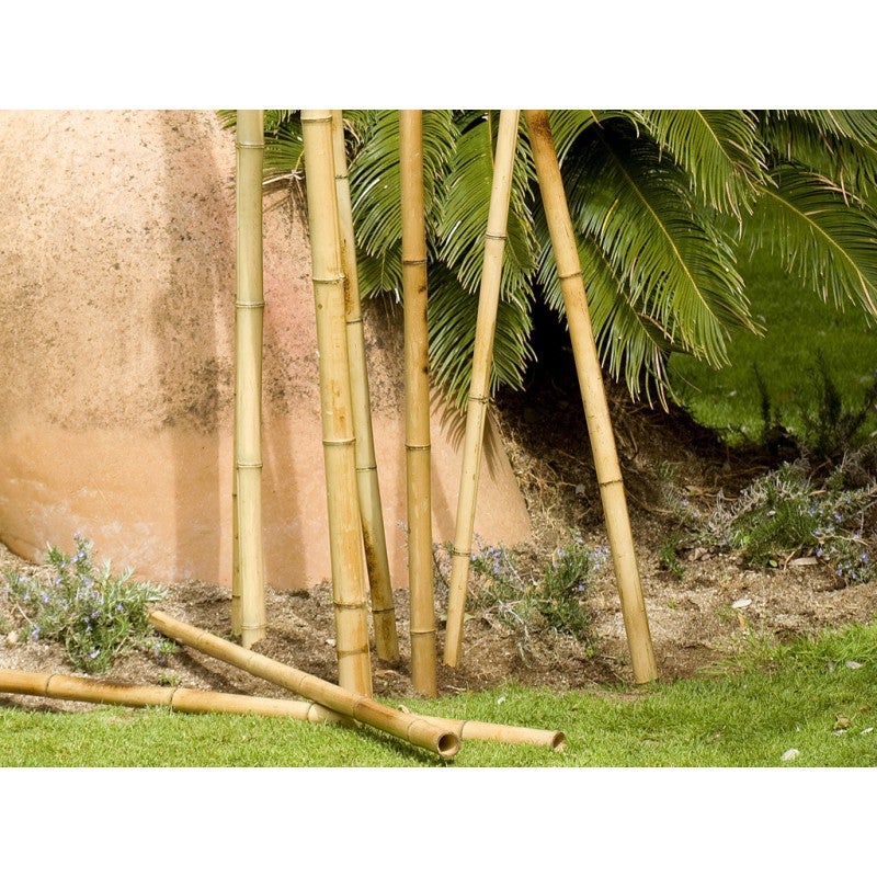 Tutor de bambu Decorativo 180 cm, 30/40mm, Tutores Redondos, Postes de Madera, Estaca para Jardin, separacion de ambientes - 4