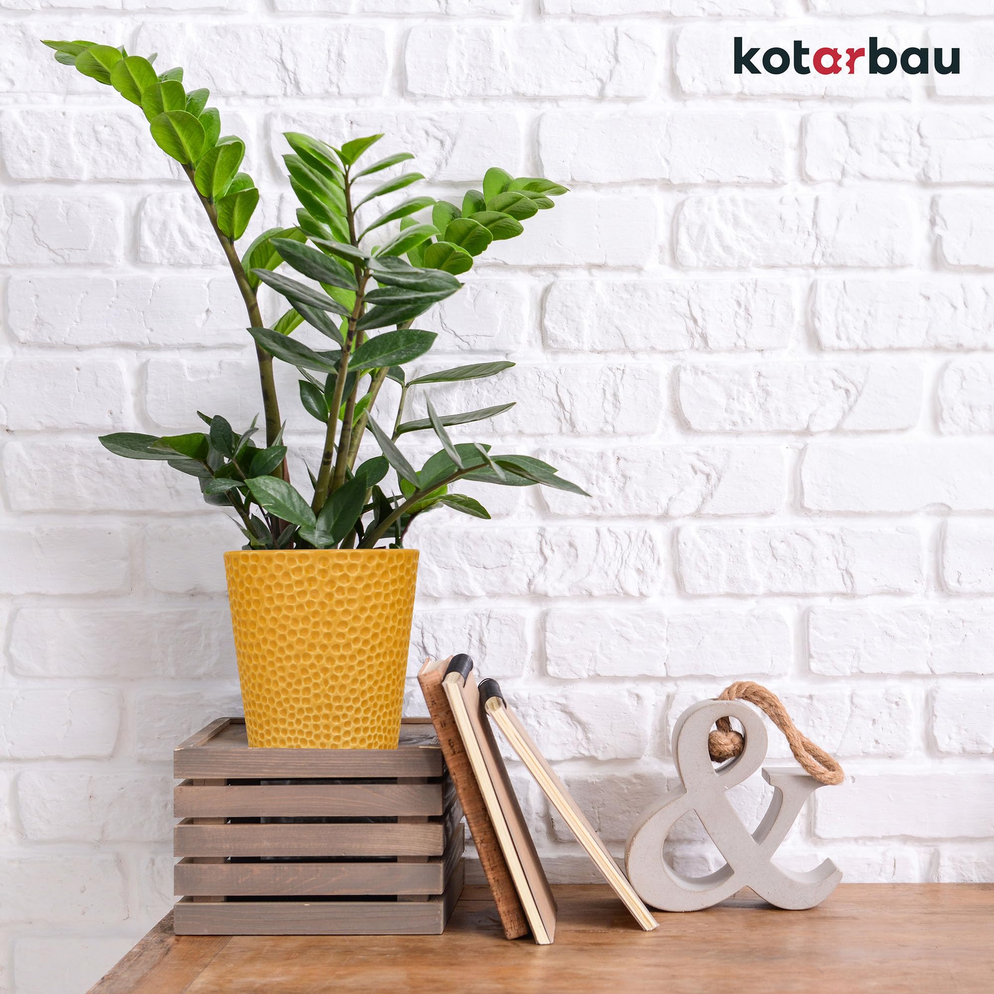 Doniczka donica fi9,5 osłonka musztarda ceramiczna kwiaty rośliny storczyki - KOTARBAU