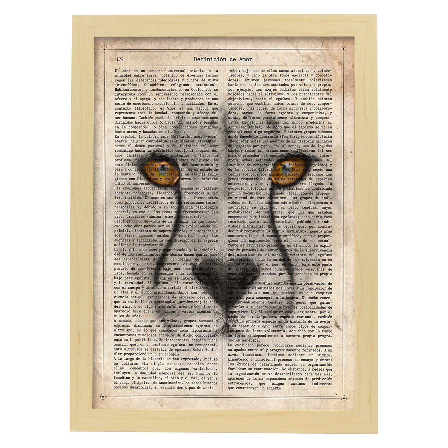 Poster de guepardo. láminas de animales con definiciones. ilustraciones de animales con textos. marco blanco - a3