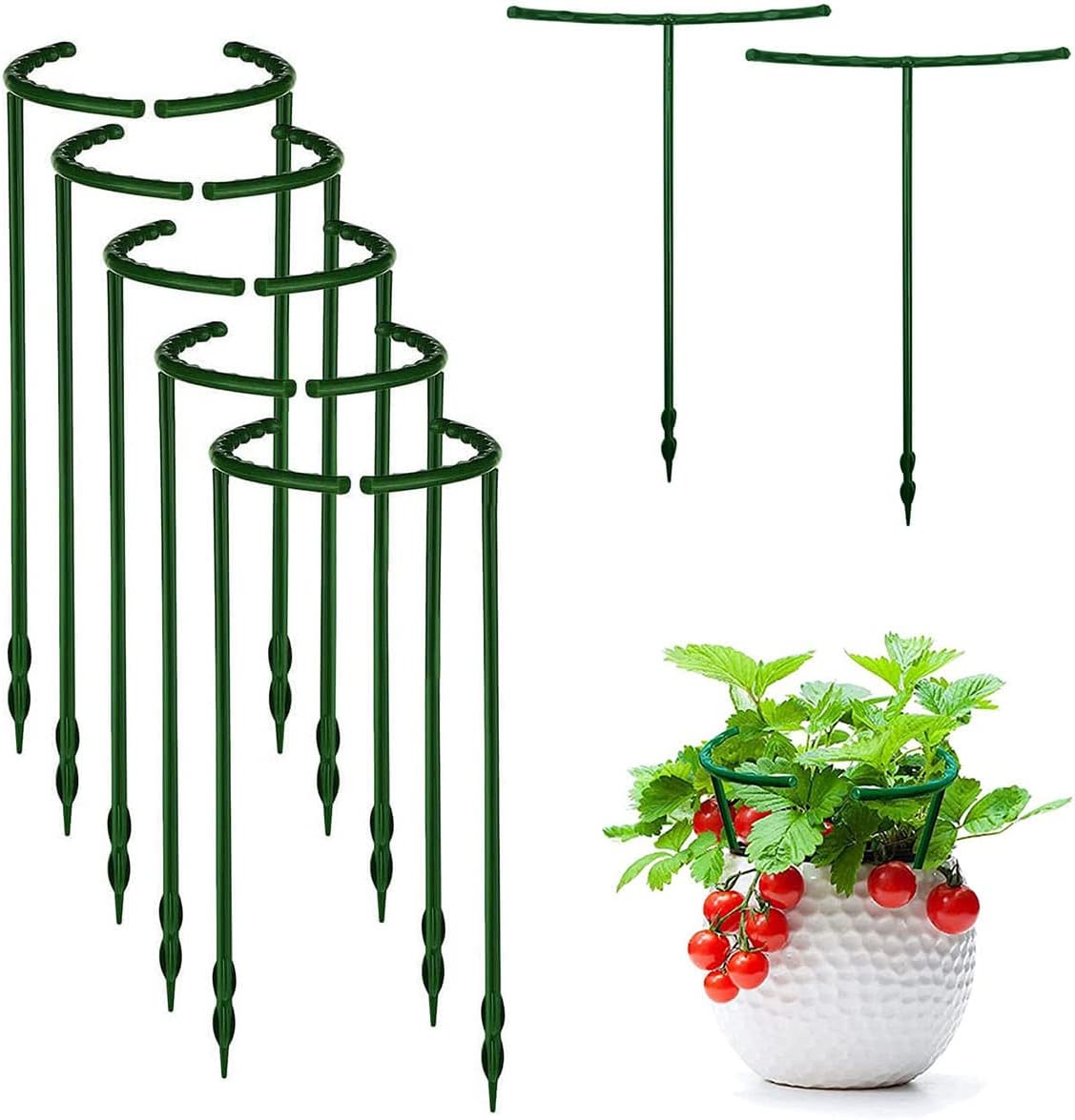 Anneau de Support de plante en plastique, Support ... - Grandado