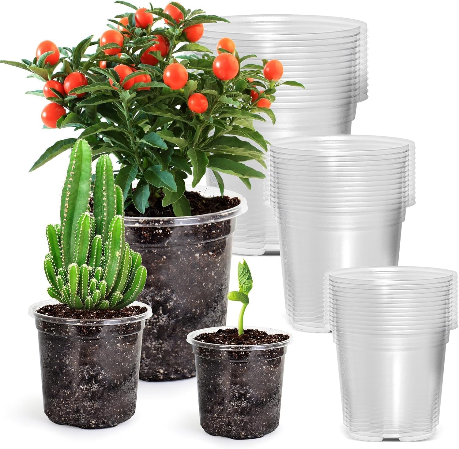 10 Piezas Vasi per Orchidee, Vaso Trasparente per Orchidee, Vaso per