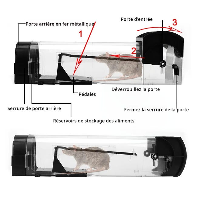 DOANTE 4 Pezzi Trappola per Topi,Clip Riutilizzabile trappole del Ratto,Esche per Topi,trappole per Topi Interno,Struttura della Fibbia Altamente sensibile progettata,per cucine,Giardini,Cantine DOANTE 4 Pezzi Trappola per Topi,Clip Riutilizzabile trappole del Ratto,Esche per Topi,trappole per Topi Interno,Struttura della Fibbia Altamente sensibile progettata,per cucine,Giardini,Cantine