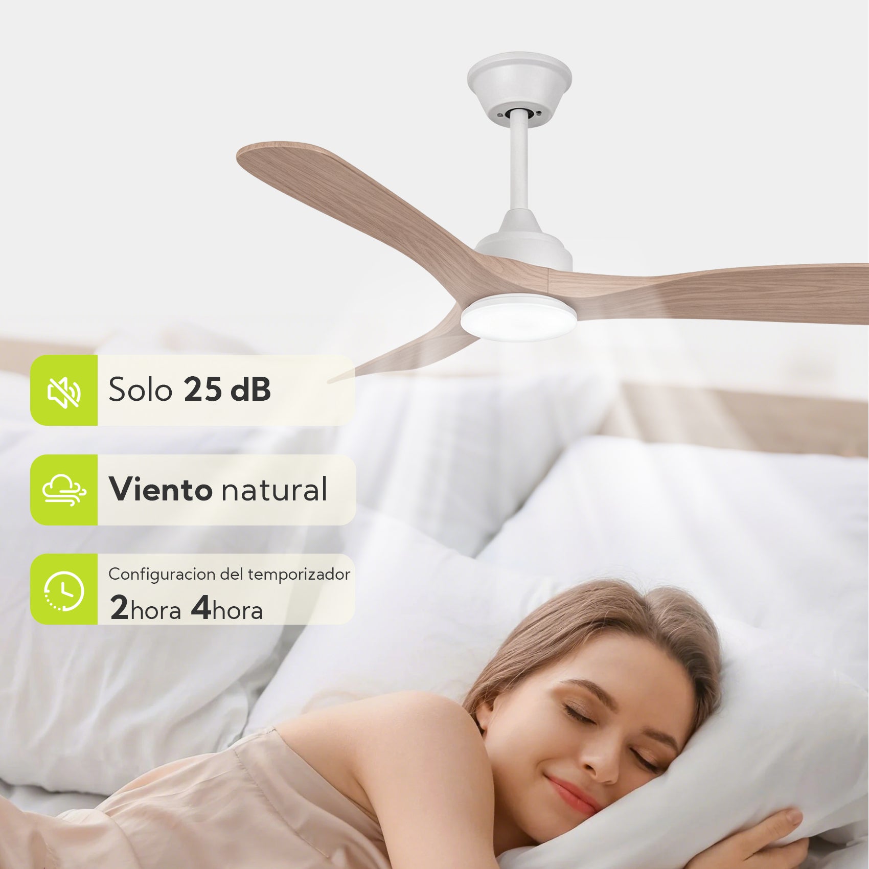 Ventilateur Plafond LED 42