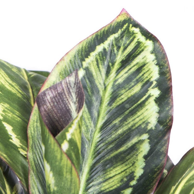 Plante Artificielle Calathea Zebra 49cm avec pot | Plantes en plastique pour la décoration de jardin intérieur et extérieur - 3