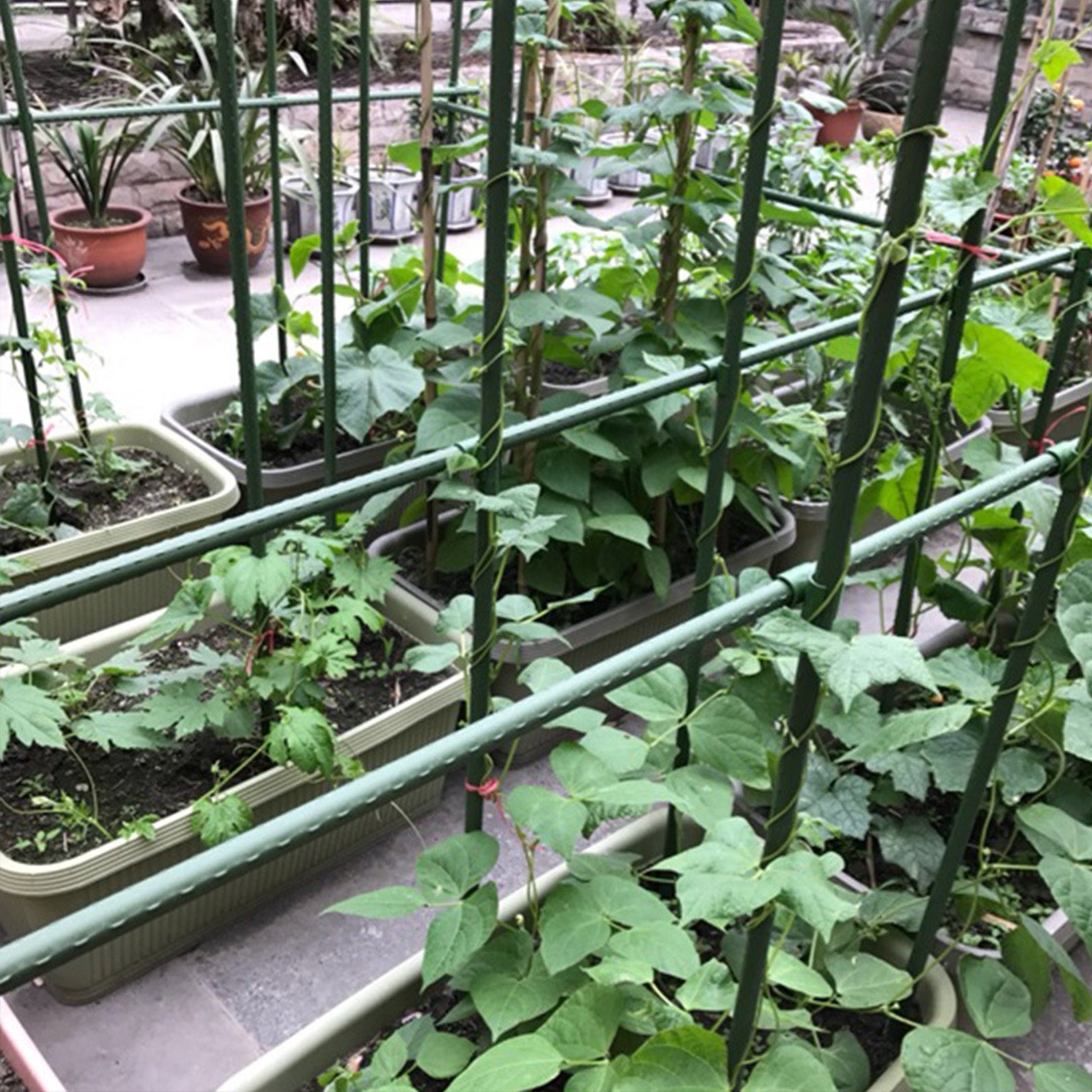 Ensemble de 36 supports d'escalade, piquets de jardin en tube d'acier plastifié, piquets de support pour plantes, adaptés aux plantes grimpantes - 7