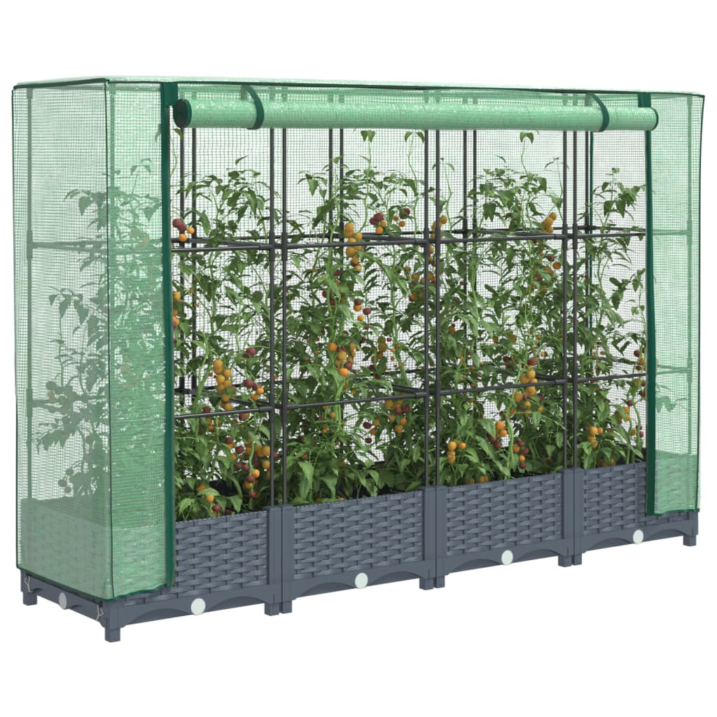 Rectangulaire