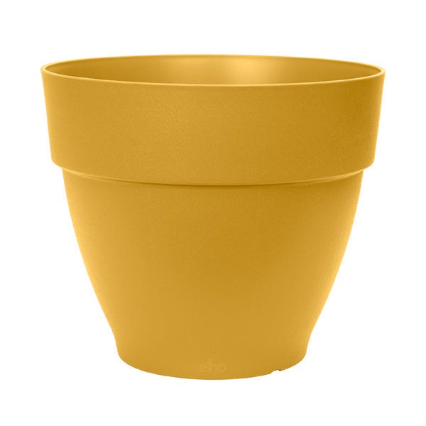 Jaune / doré