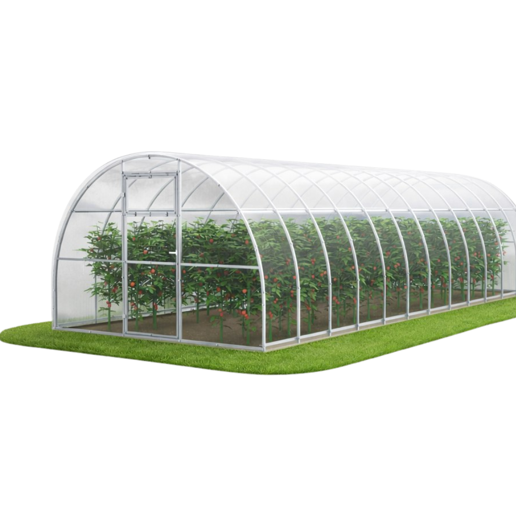 Szklarnia ogrodowa Tunel 3x10 m profile 40x20 poliwęglan 6mm - Szklarnia z poliwęglanu