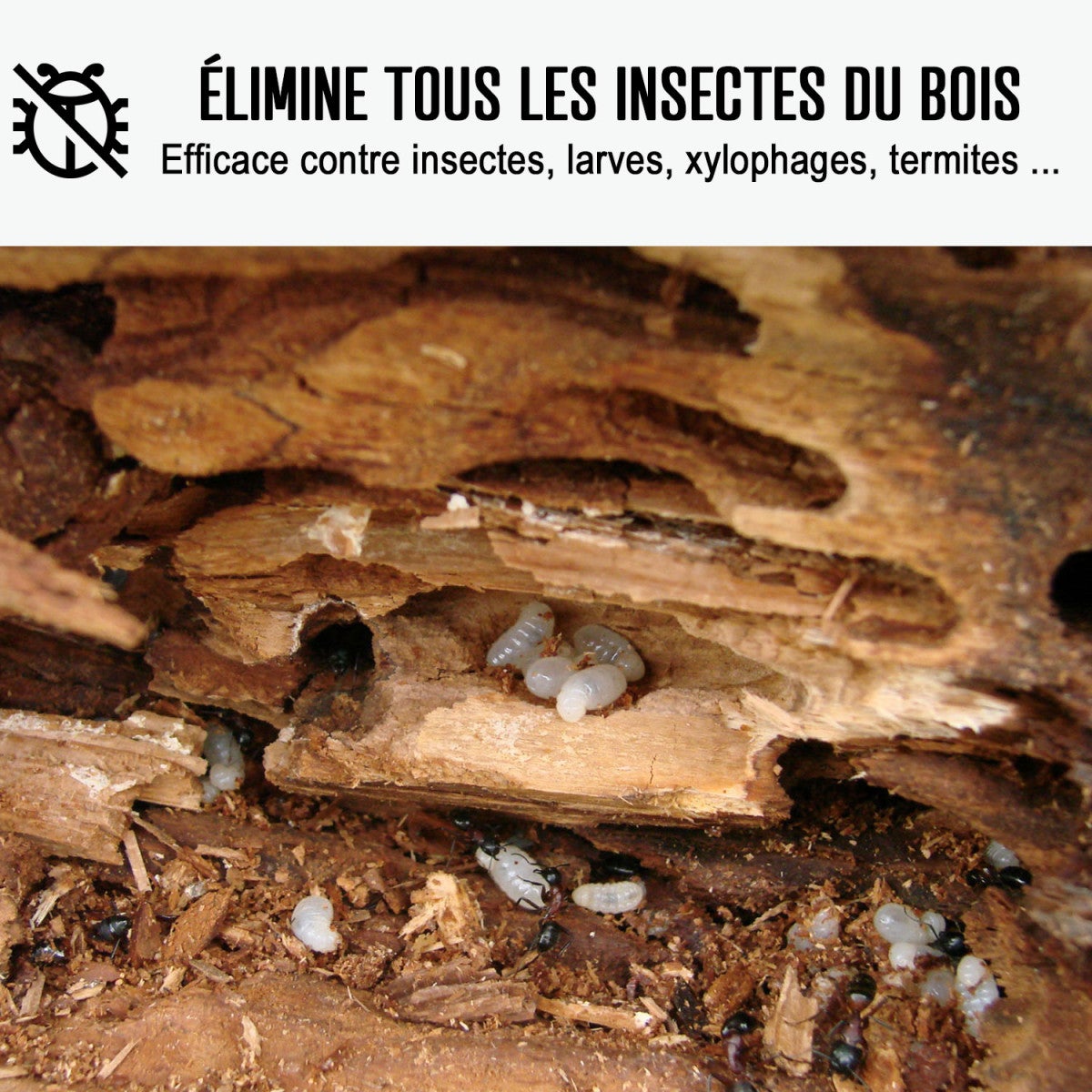 Traitement bois extérieur, intérieur pour insectes xylophènes et champignons | ARCAPROTECT BOIS - 5 L - ARCANE INDUSTRIES - 2