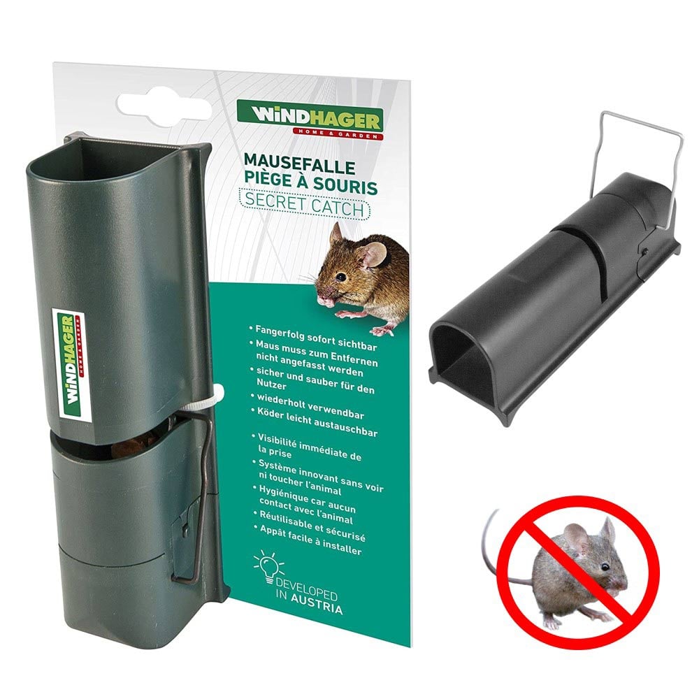 Piège pour souris vivantes, en métal, avec hublot