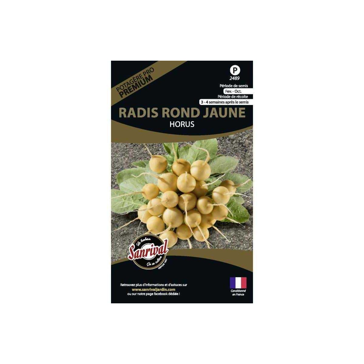 300 Graines De Radis Rond Violet - Légumes Ancien - Semences Paysannes Reproductibles - SemiSauvage - Foto 12