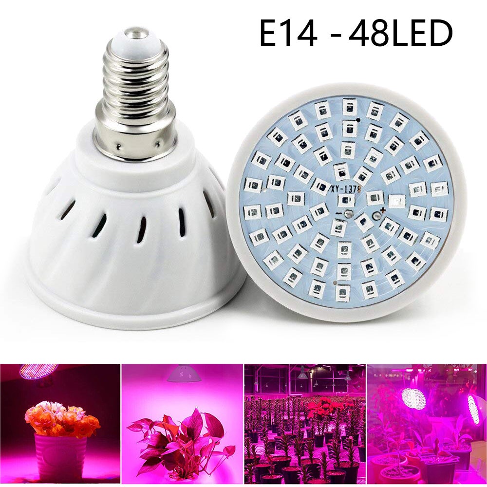 Lot De 2 Lampes De Culture LED Plein Spectre GOEDCH 3.5 Pouces - 48 LEDs - Timer 3/9/12H - 10 Niveaux - USB