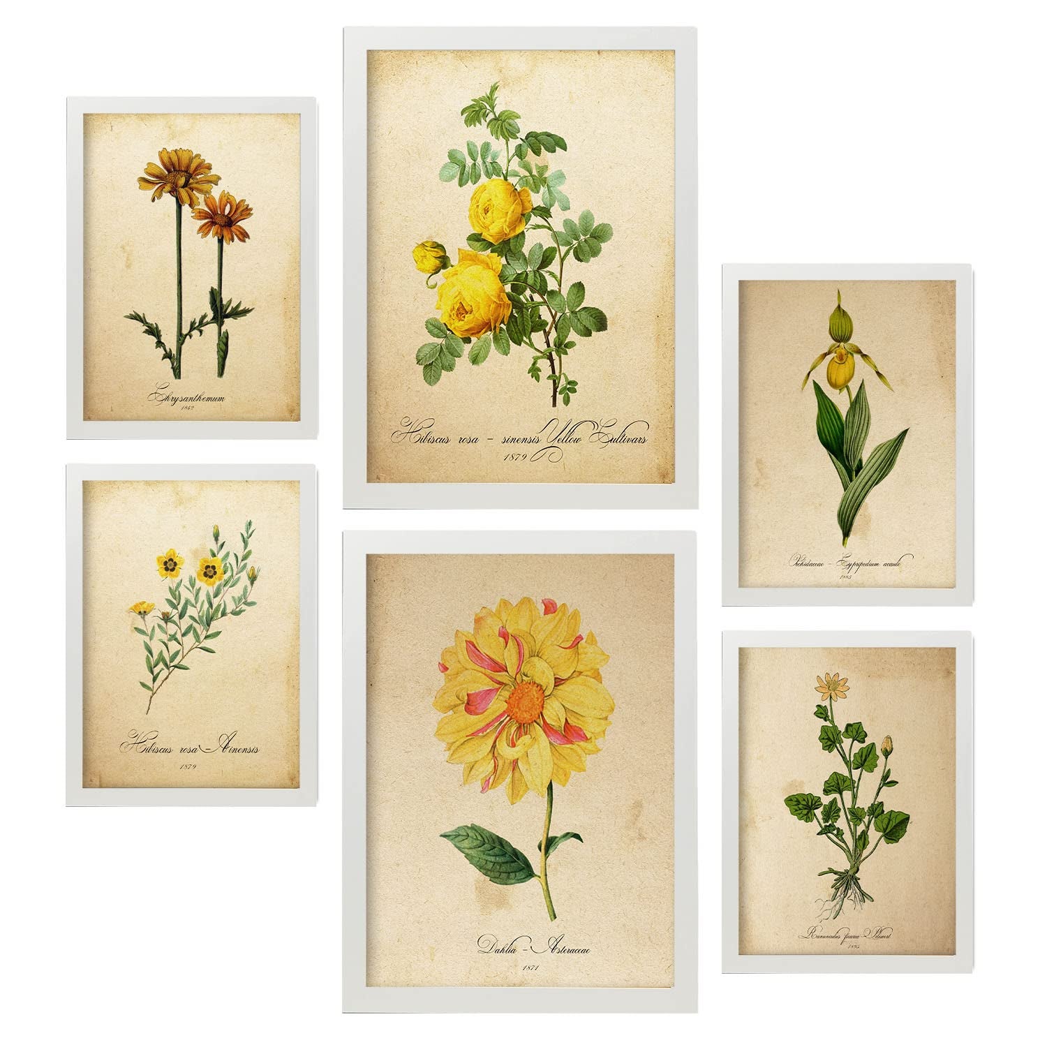 Nacnic posters de flores amarillas ilustraciones de naturaleza y botánica estilo papel vintage con temas florales para la a4 & a3 marcos blancos