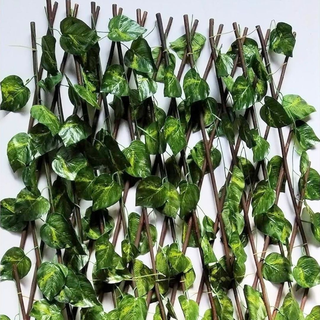 Traliccio Di Vimini Con Foglie| Composizione 100% Vimini| Foglie Edera Di PVC| Dimensioni 100X200CM| Tutor Di Piante| Decorazione - 3