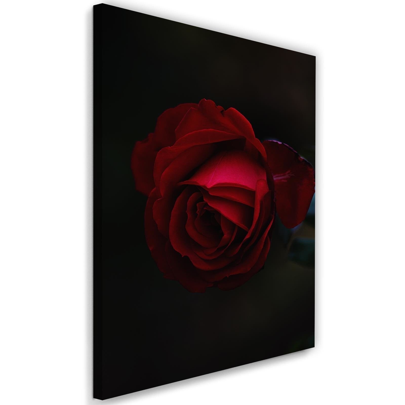 Obraz na płótnie, Róża na czarnym tle 40x60