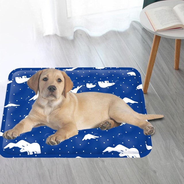 Tapete refrescante para cães, tapete auto-refrescante para o verão, impermeável e antiderrapante, para casa, viagens ou carro (XL)