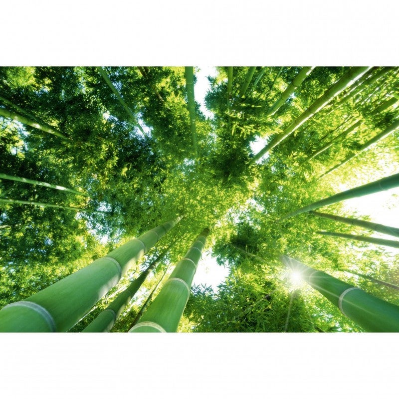 Bamboomn Marque - Décoratifs En Acrylique Gem Extrémité En Bambou Picks