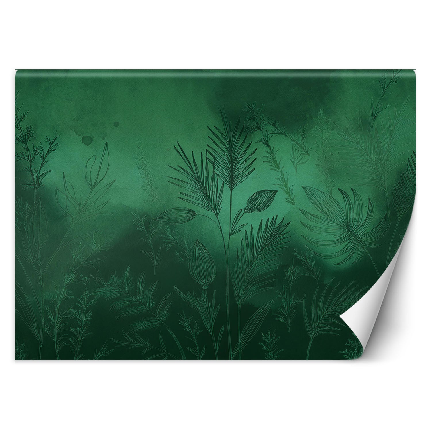 Fototapeta, Zielona abstrakcja botaniczna 450x315