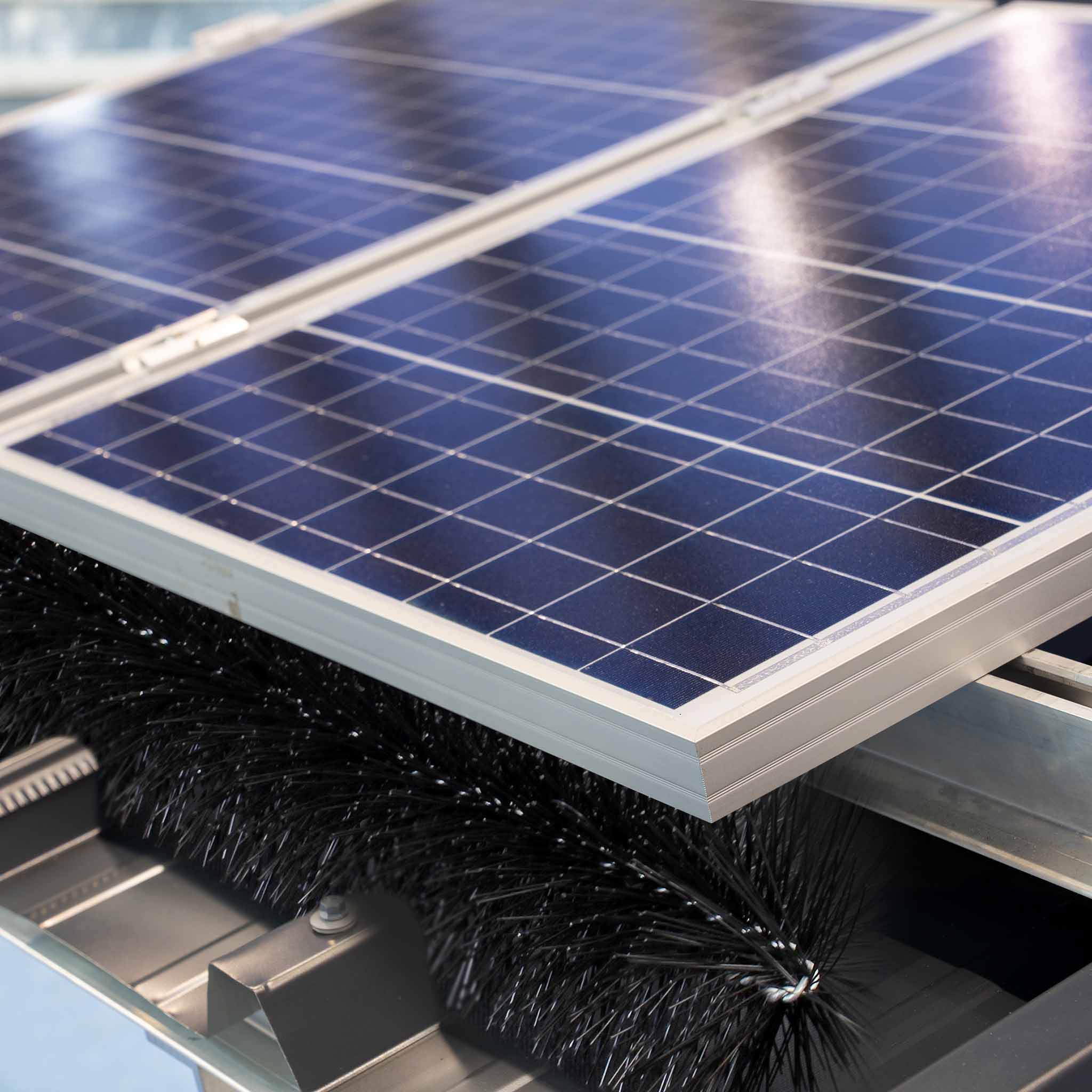 Wiltec Barriera anti piccioni per pannelli fotovoltaici e Spazzola per grondaie 10 scovoli 12 m Ø 19 cm - 8