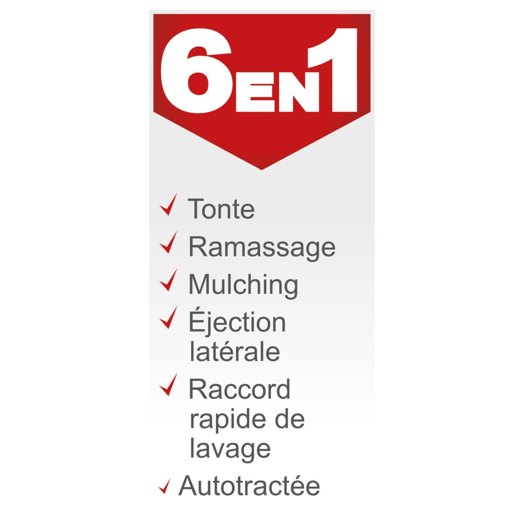 Scheppach Tondeuse à gazon thermique MS180-51 - Largeur de coupe 51 cm - Moteur à essence 4 temps 4,0 kW - 5,4 CV - Jardin 1600 m² - 7