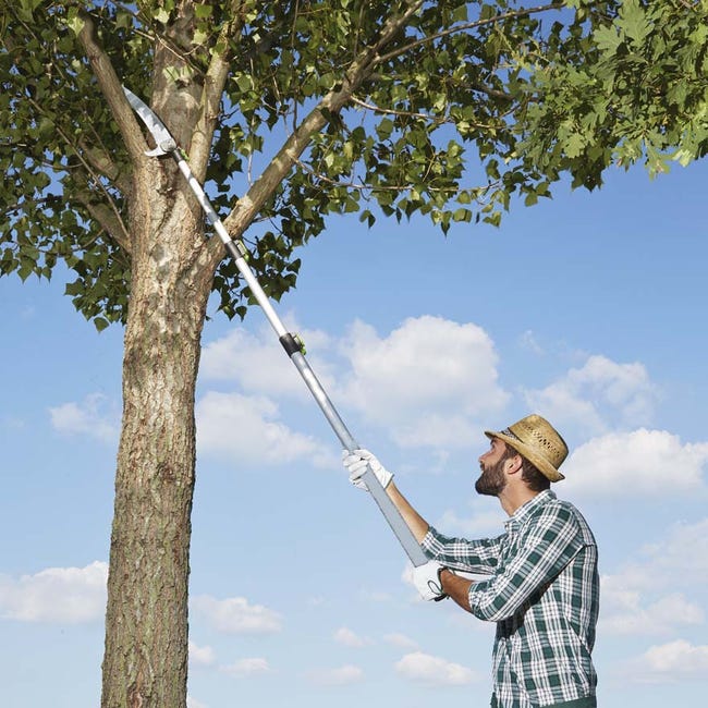 Detercenter Asta Telescopica Alluminio 6 Metri - Per Pulire Finestre, Pannelli Solari E Soffitti - Foto 7