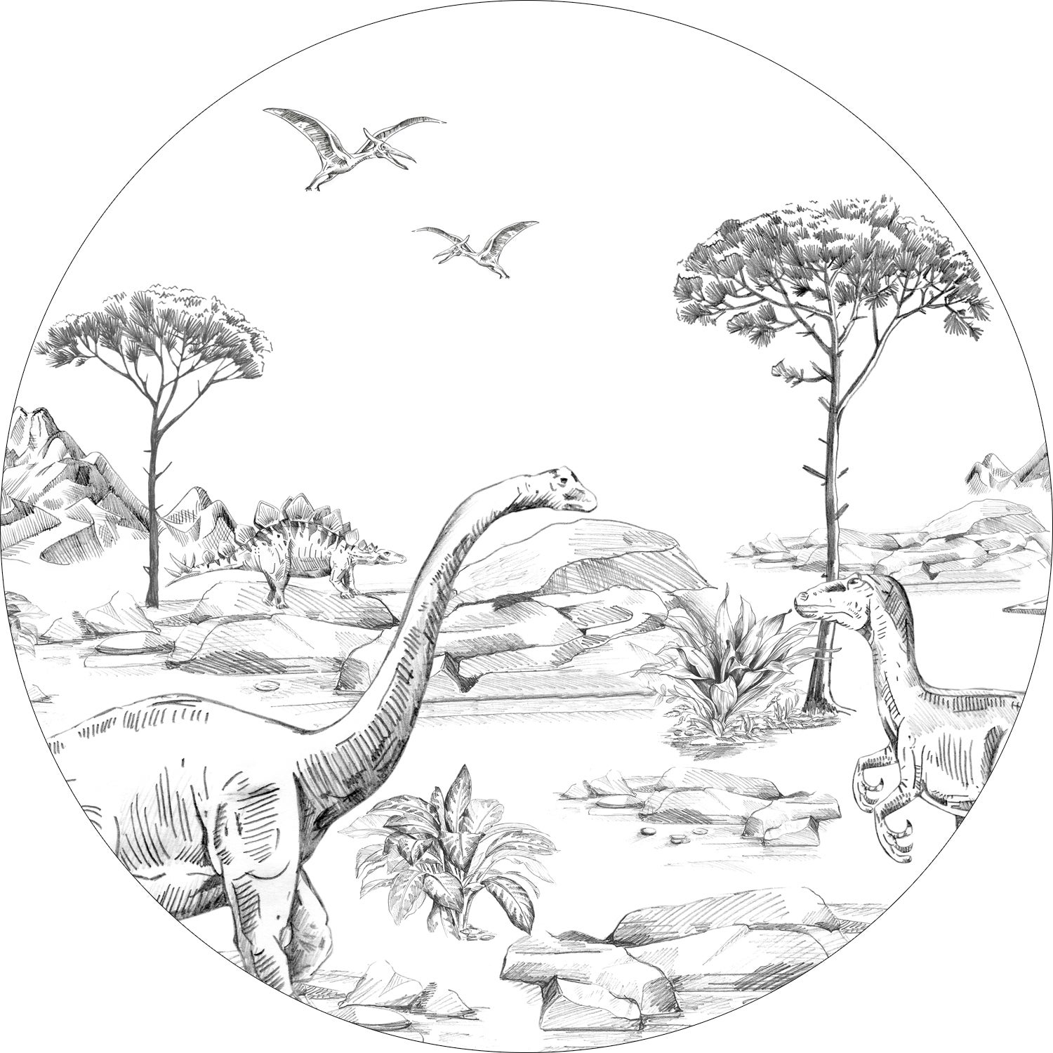 Kółko do tapet samoprzylepnych dinozaury czarno-białym - Ø 70 cm - ESTAHOME