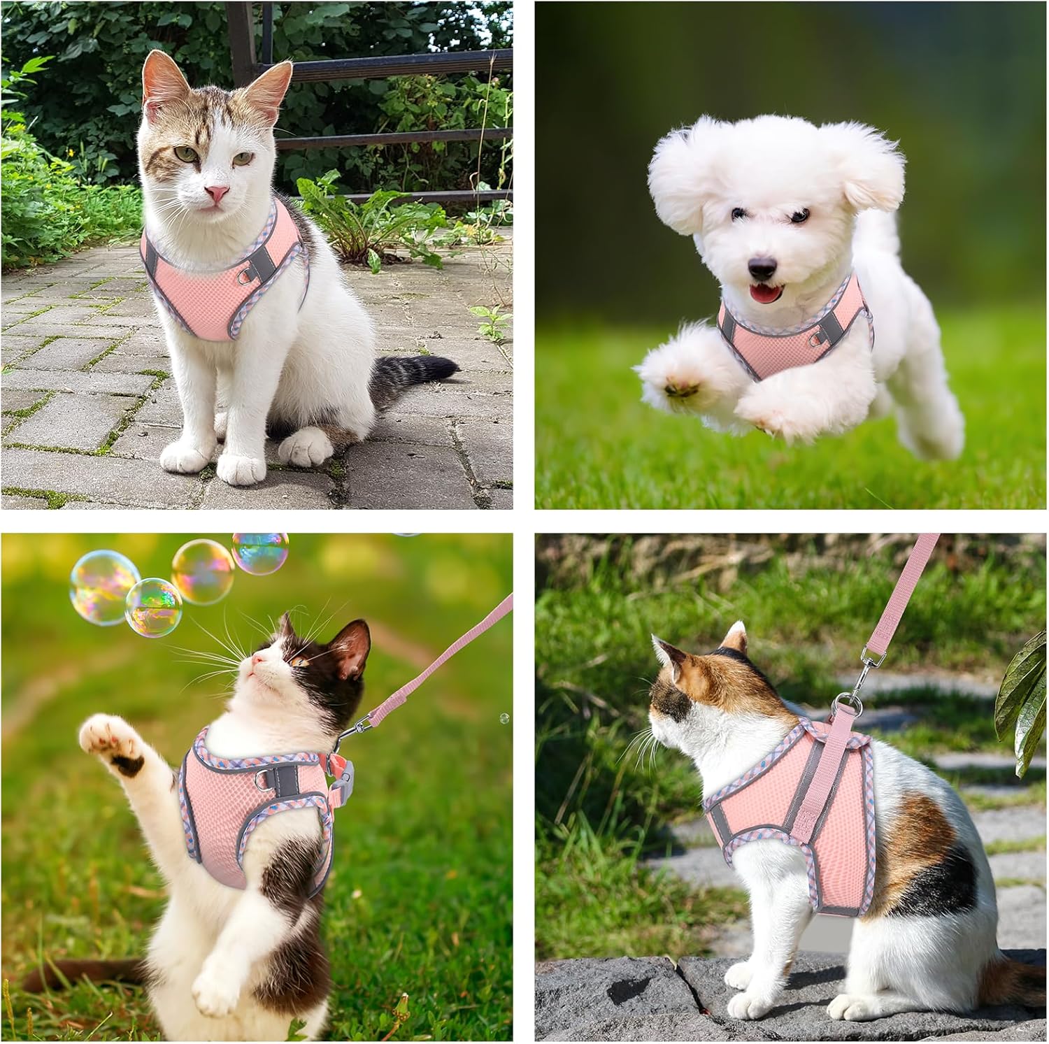 Arnés Antiescape Para Gatos Con Reflectante - Ajustable Y Transpirable, Incluye Correa De 150cm, Seguro Para Paseos (Gris, Talla S)