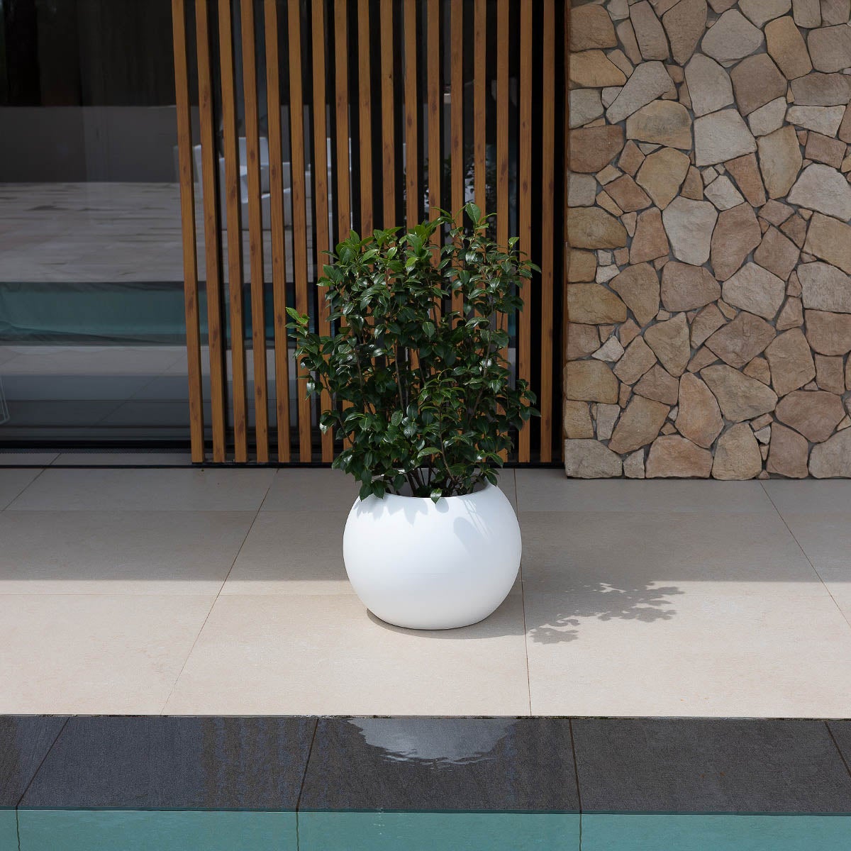 DALIA 30 - Pot rond pour plantes et fleurs en polyéthylène ø30x22,5 cm pour l'extérieur et l'intérieur très résistant. Couleur blanc - 3