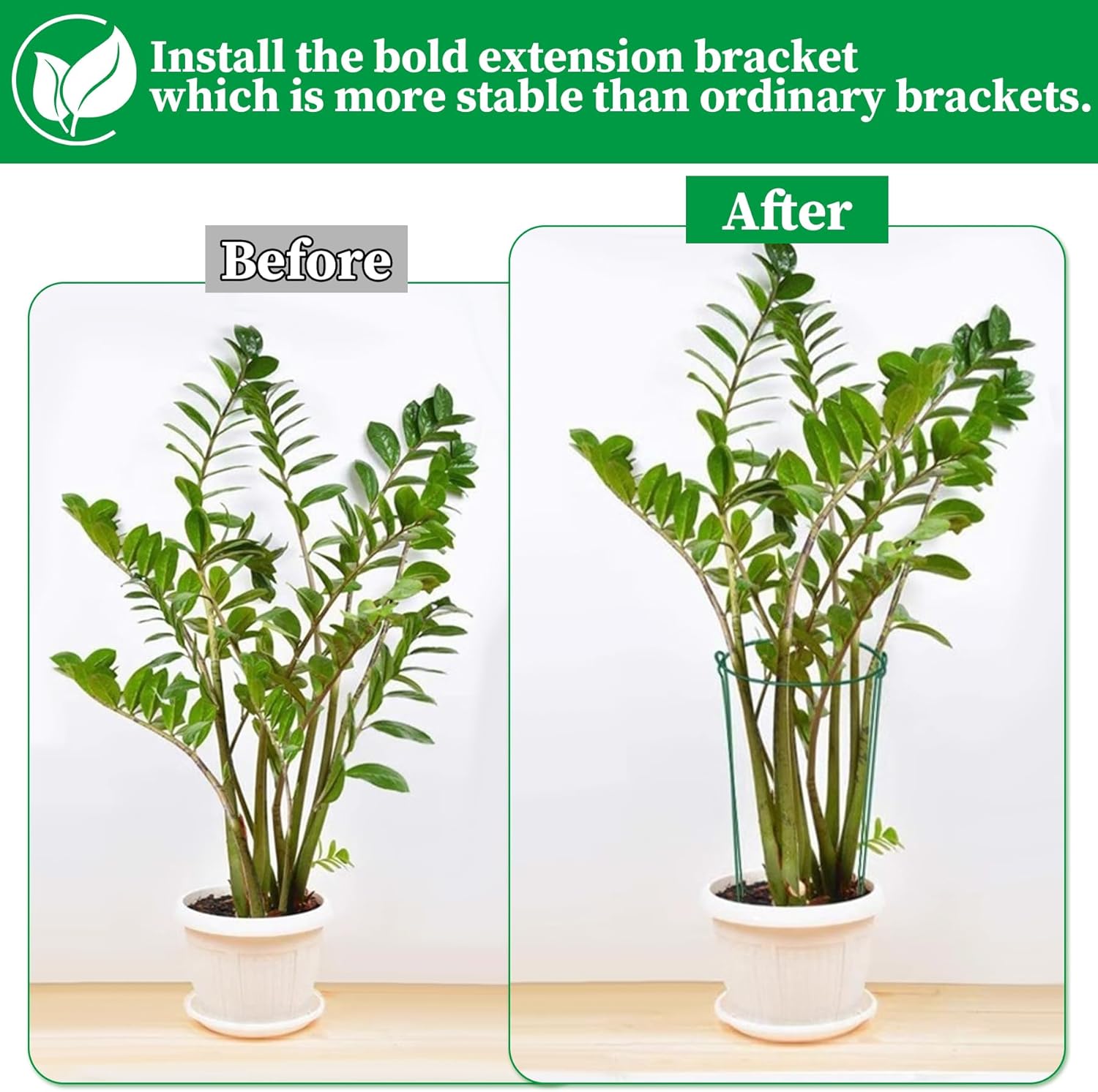 10 Pièces 25x80cm Tuteurs pour Plantes,Support de Plantes de Jardin Demi-Rond,pour Hortensias, Pivoines, Plantes Vivace, Légume - 5