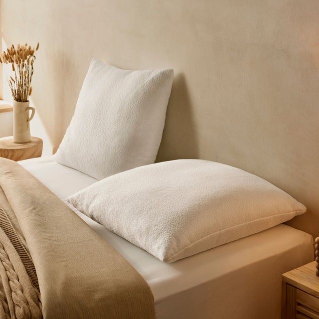 Lot de 2 Oreillers 60x60 cm - Tissu Aloe-Vera Frais - Soulagement de la Pression - Coussin Doux et Rafraîchissant - Rembourrage Copeaux de Mousse HR