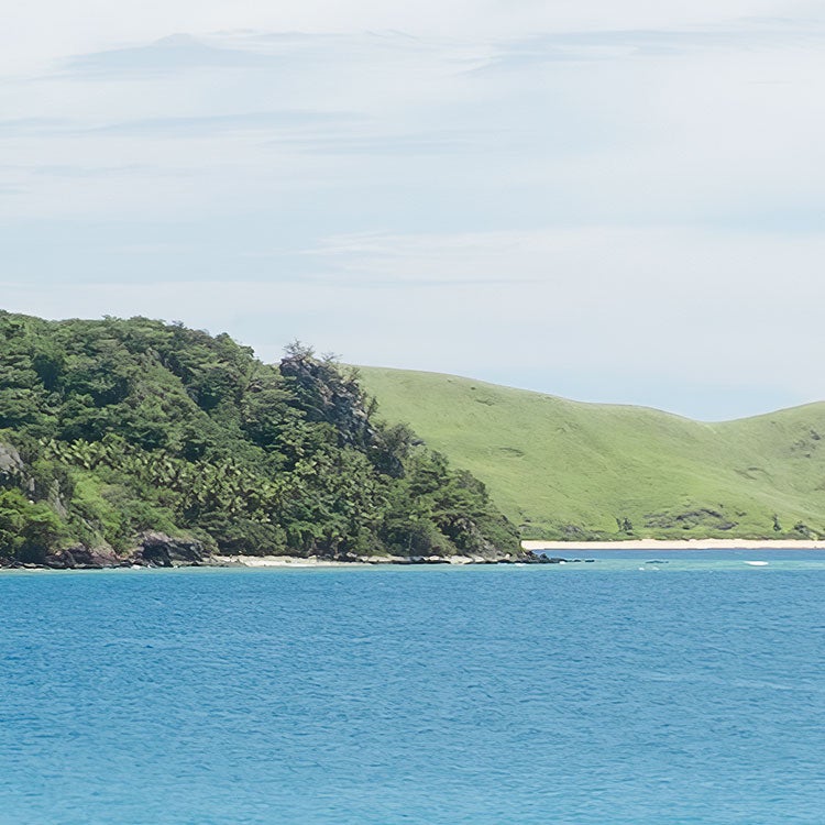 Fotomurale in tessuto non tessuto di Komar - Stefan Hefele Cast Away Jungle - Dimensione: 450 x 280 cm - 9