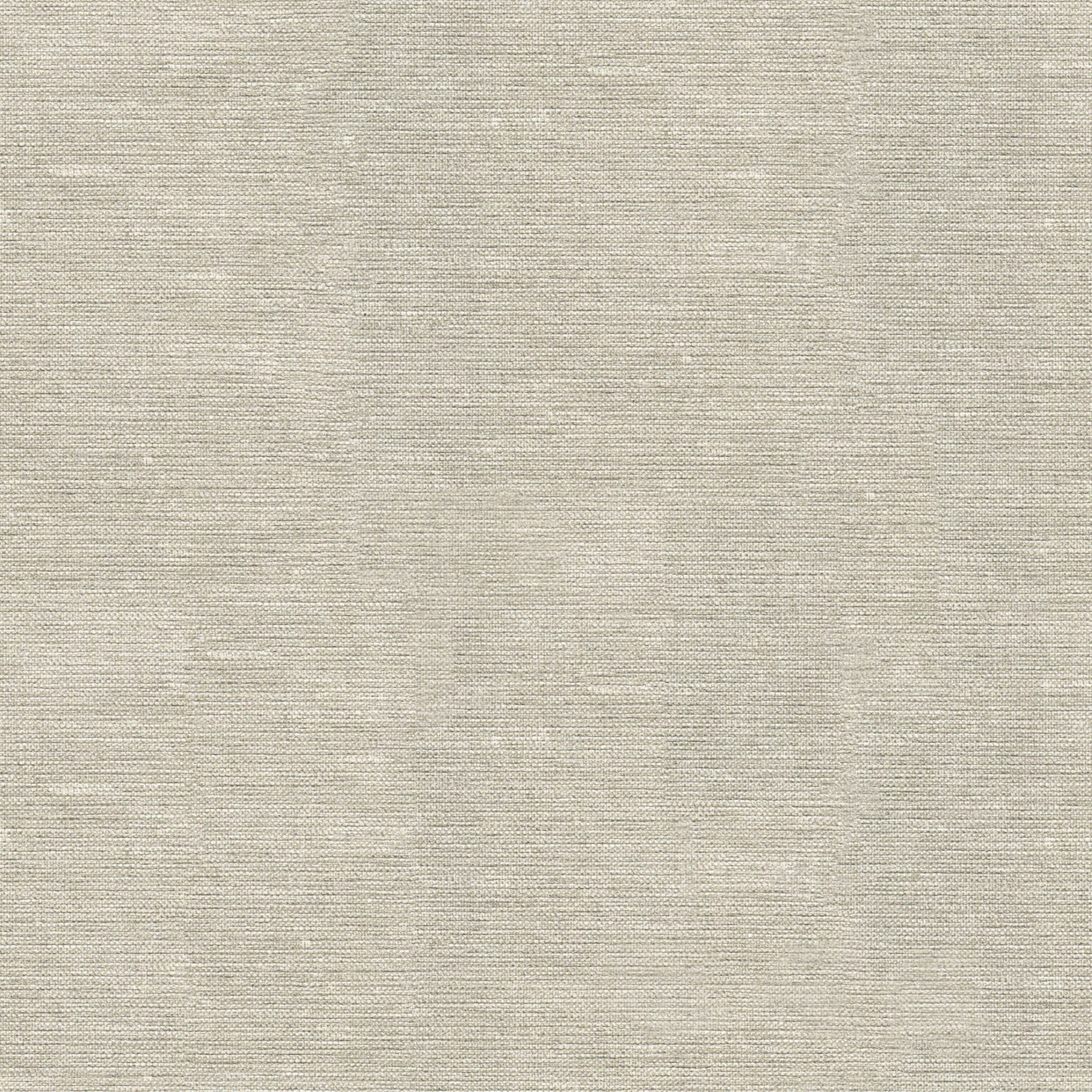 Papier peint intissé Horizon 1005 x 52cm Taupe - 2